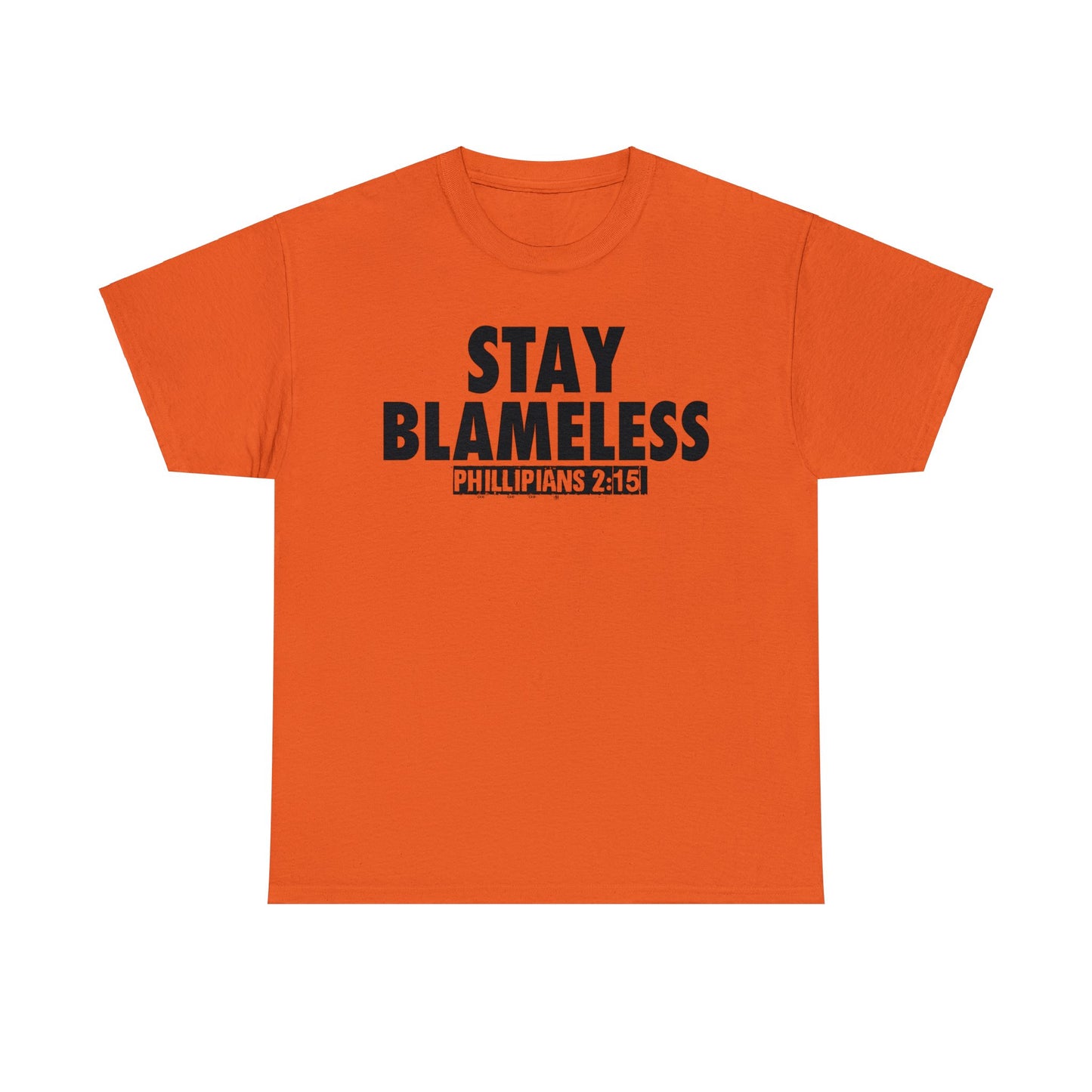 STAY BLAMELESS