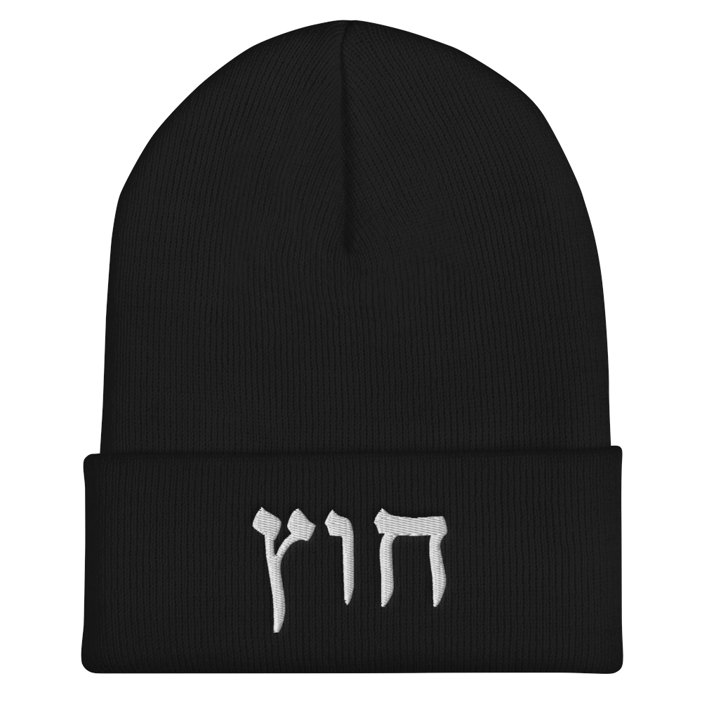 HUS BEANIE 1