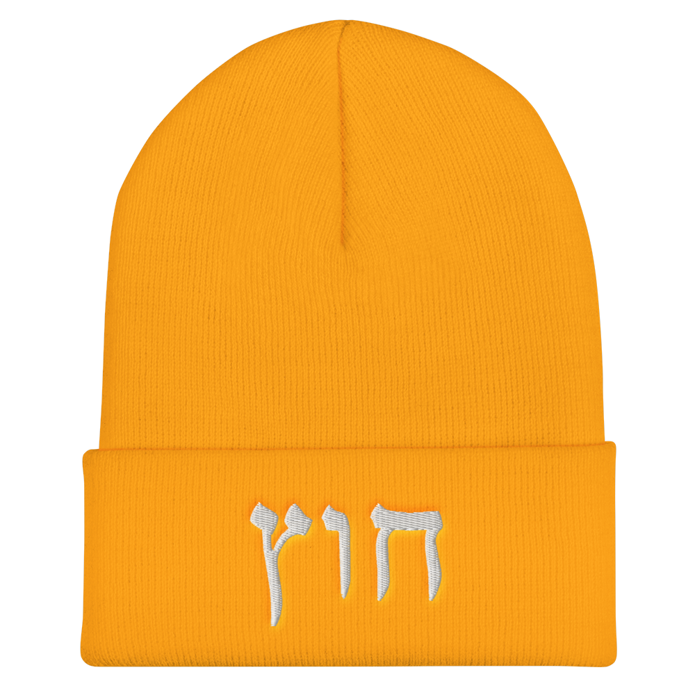 HUS BEANIE 1