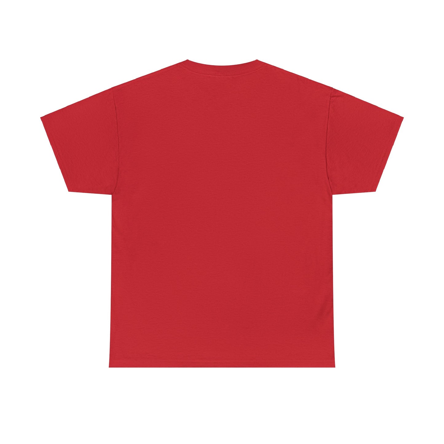 HEBREW GUN OWNER TEE