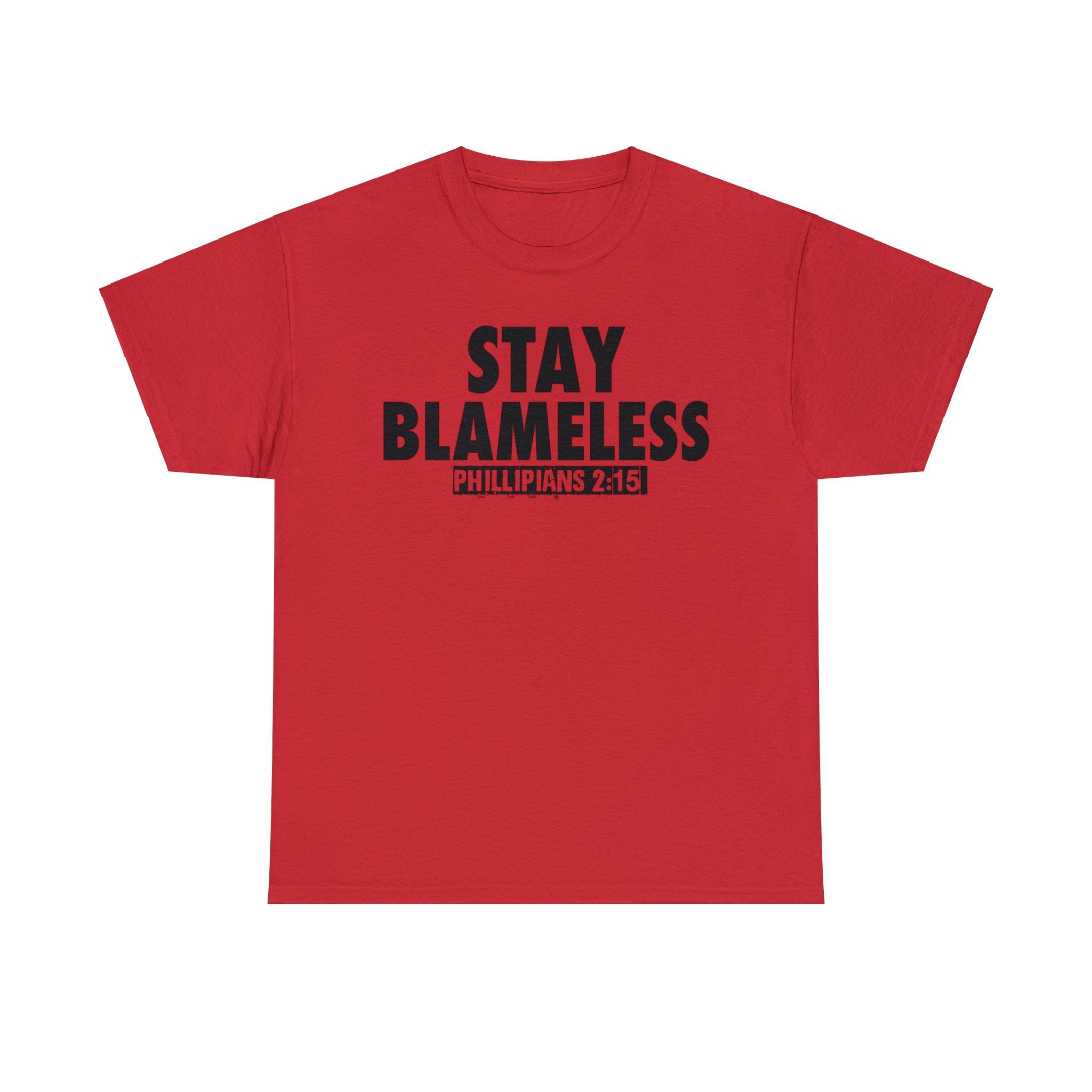 STAY BLAMELESS