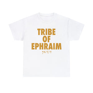 TRIBE OF EPHRAIM GOLD