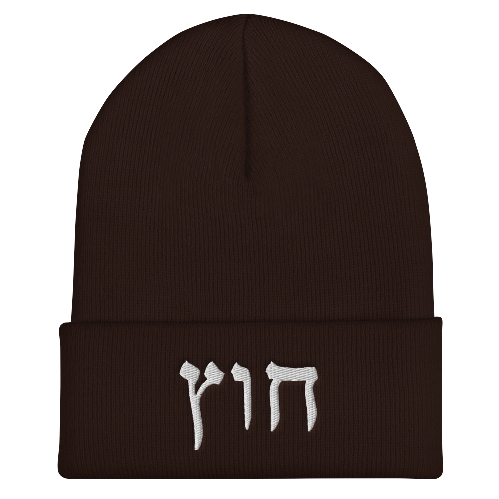 HUS BEANIE 1