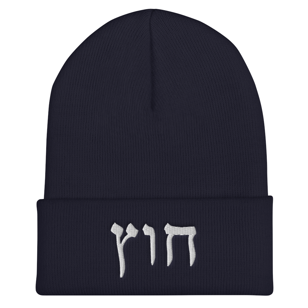 HUS BEANIE 1