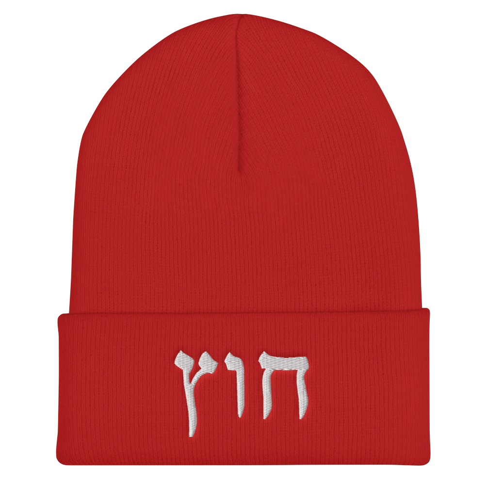 HUS BEANIE 1