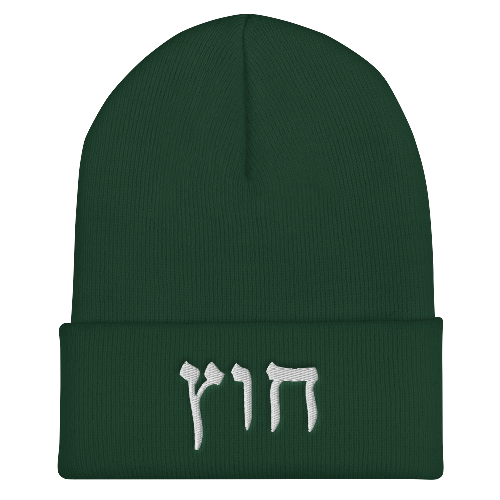 HUS BEANIE 1